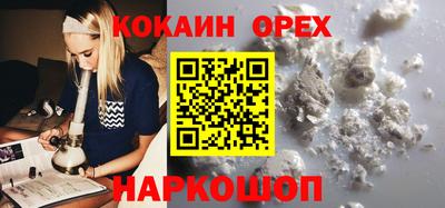 a pvp Гатчина