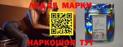 a pvp Гатчина