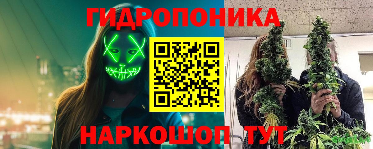 Марихуана конопля Моздок
